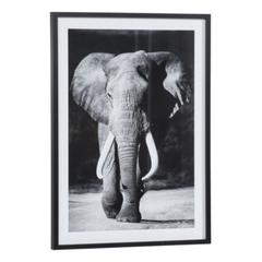 Image 50x70 cm elephant noir pas cher